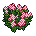 Arbusto Rosa