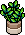 Plantinha Ornamental
