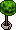 Planta do Mal