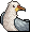 Gaivota Praiana