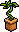 Planta Novato