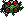 Arbusto de Rosas