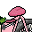 Bicicleta Rosa