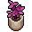 Plantinhas Rosas