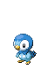 piplupx