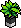 Planta Preta Base