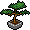 Bonsai