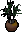 Planta