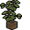 Planta da Cabana