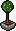 Árvore Frutifera