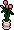 Rosas