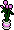 Rosas
