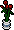 Rosas