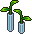 Plantinhas Harmonia