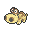 Hippopotas