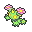 Maractus
