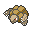 Golem Shiny