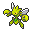 Scizor Shiny