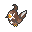 Staravia Shiny