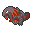 Heatmor Shiny