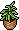 Planta na Cesta