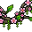 Cipós Sakura