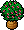 Plantas Mediterrâneas