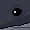 seven_bluewhale