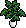 Planta Ornamental