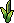 Planta do Jardim