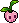 Plantinha na Caveira
