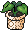 Plantinha Sakura