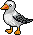 Gaivota