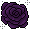 Raro Rosa Negra