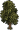 Árvore da Floresta