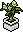 Planta de Narciso