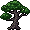 Bonsai Gogante