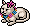 Gato Pandora
