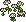 white_pandemic