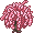 Árvore de Pitaya Rosa
