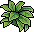 Plantinha Decorativa