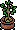 Bonsai Jardim Zen