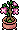 Bonsai Jardim Harmonia